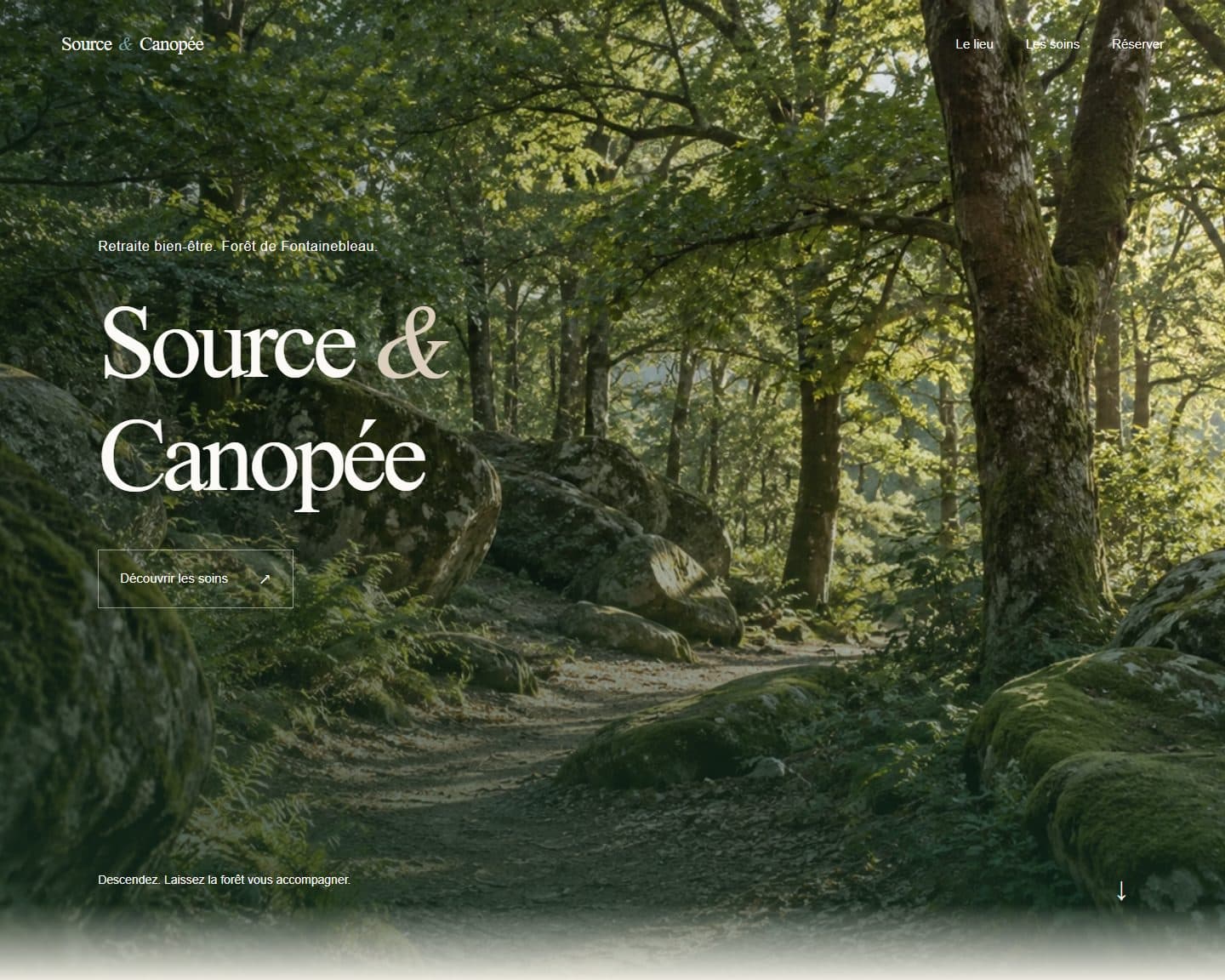 Source & Canopée